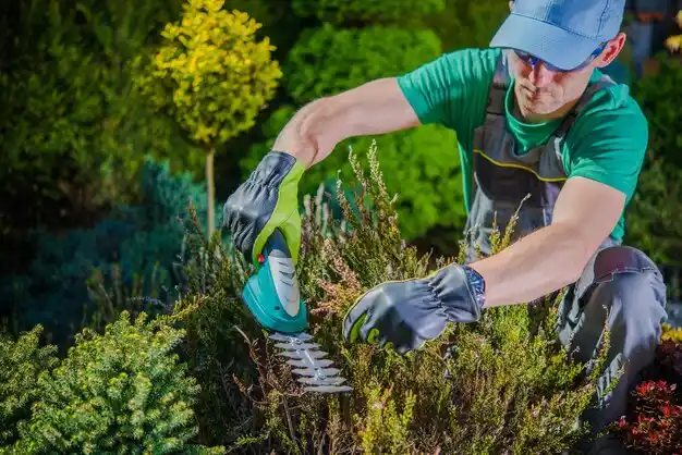 landscaping services Fort Recovery